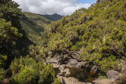 Portugal, Ile de Madère, randonnée par la levada do Alecrim dans La forêt de Rabaçal, la laurisilva, unique vestige de la forêt primaire qui recouvrait le sud de l’Europe il y a des millions d’années, la vallée sauvage de 18 km Ribeira da Janela qui descend vers la mer (vue aérienne)