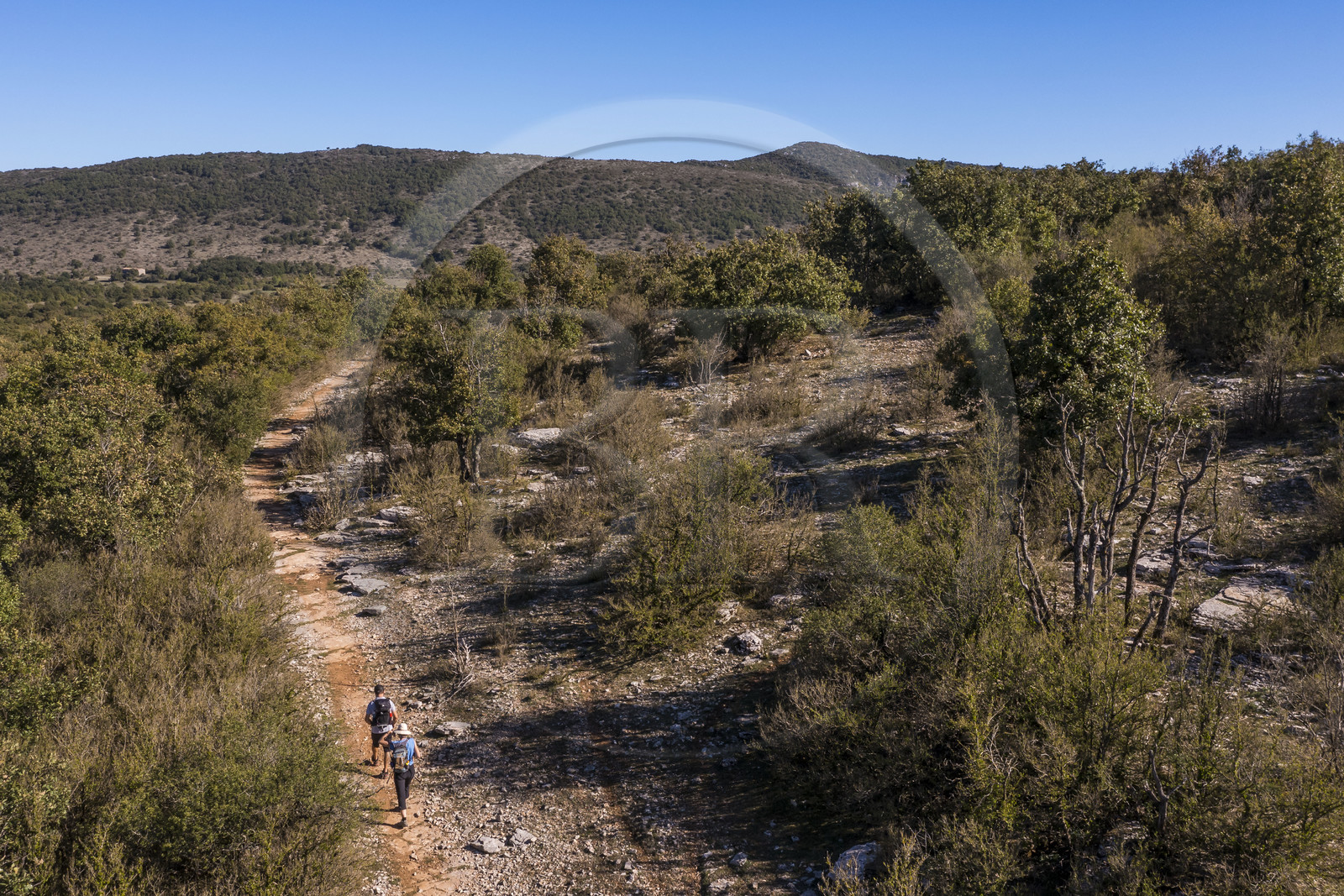 France, Hérault (34), les Causses et les Cévennes, paysage culturel de l'agro-pastoralisme méditerranéen inscrit au Patrimoine Mondial de l'UNESCO, Saint-Maurice-Navacelles, randonneurs progressant sur le GR 7 dans un paysage typique du causse du Larzac, le massif de la Séranne qui s'est formé sur une barrière corallienne en arrière plan (vue aérienne)