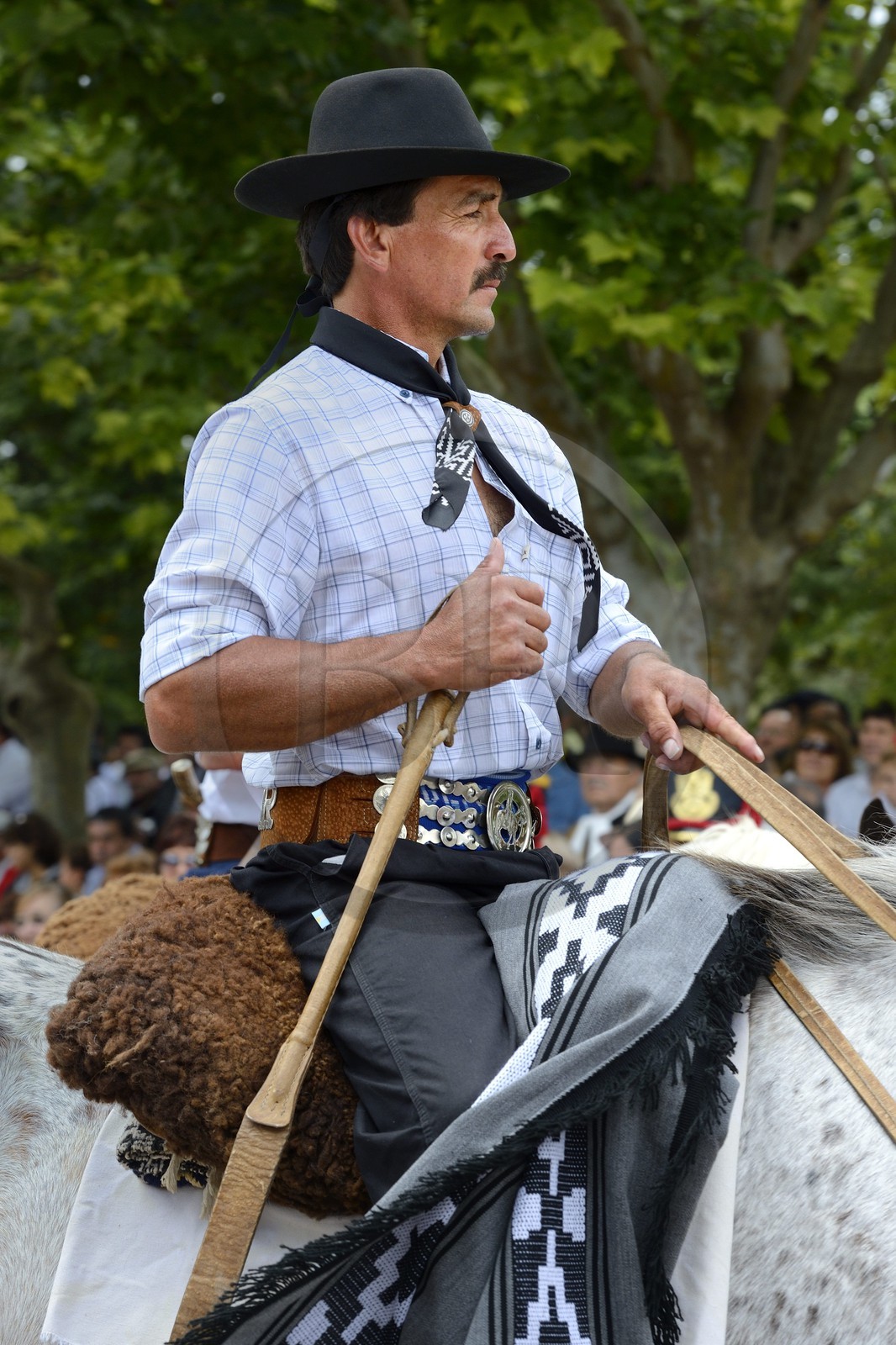 Argentina, Buenos Aires Province, San Antonio de Areco, Tradition Day festival (Dia de Tradicion), gaucho on horseback in traditional dress during the parade