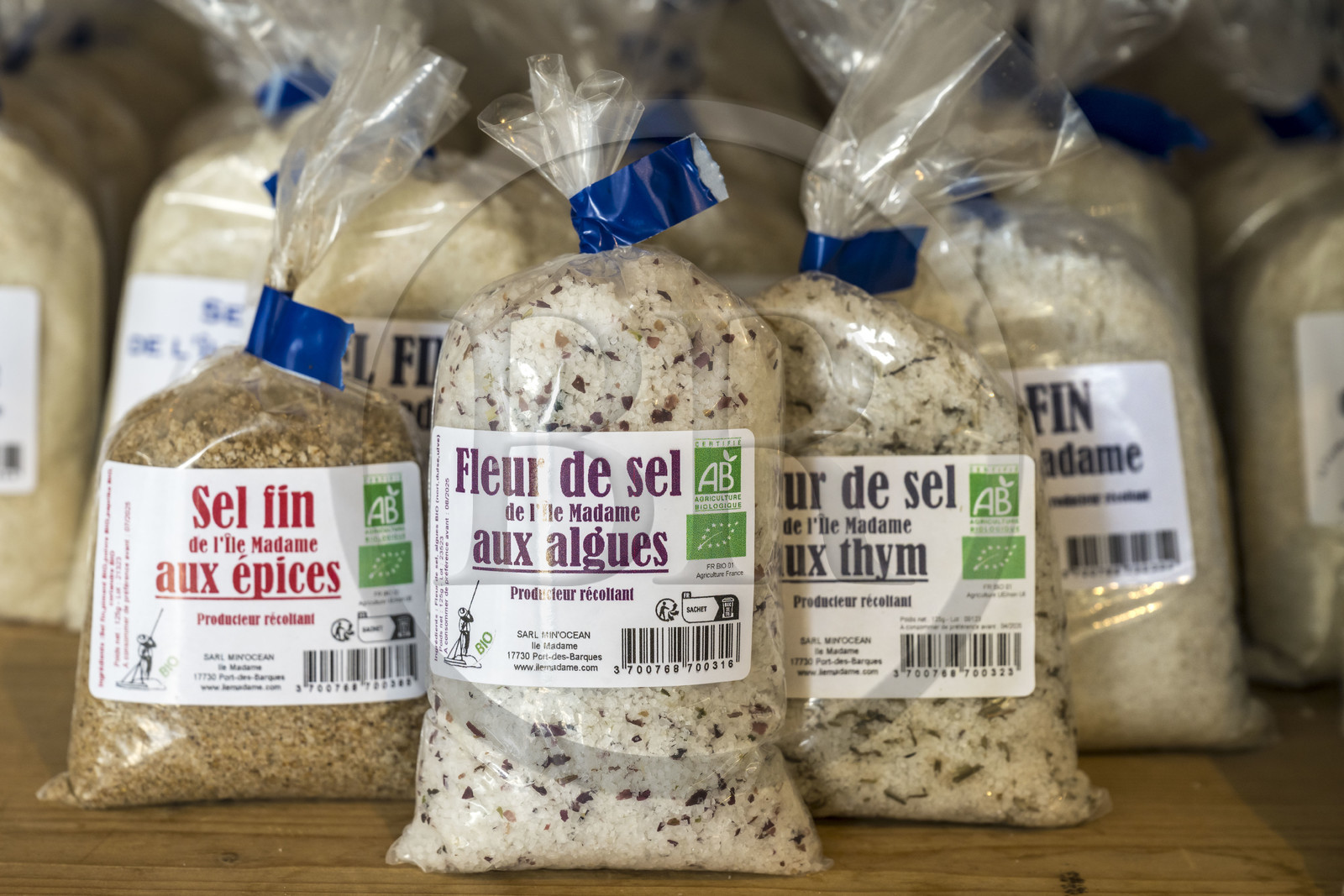 France, Charente Maritime, Port des Barques, Ile Madame, the Ile Madame Aquaculture Farm, the salt of their salt pan