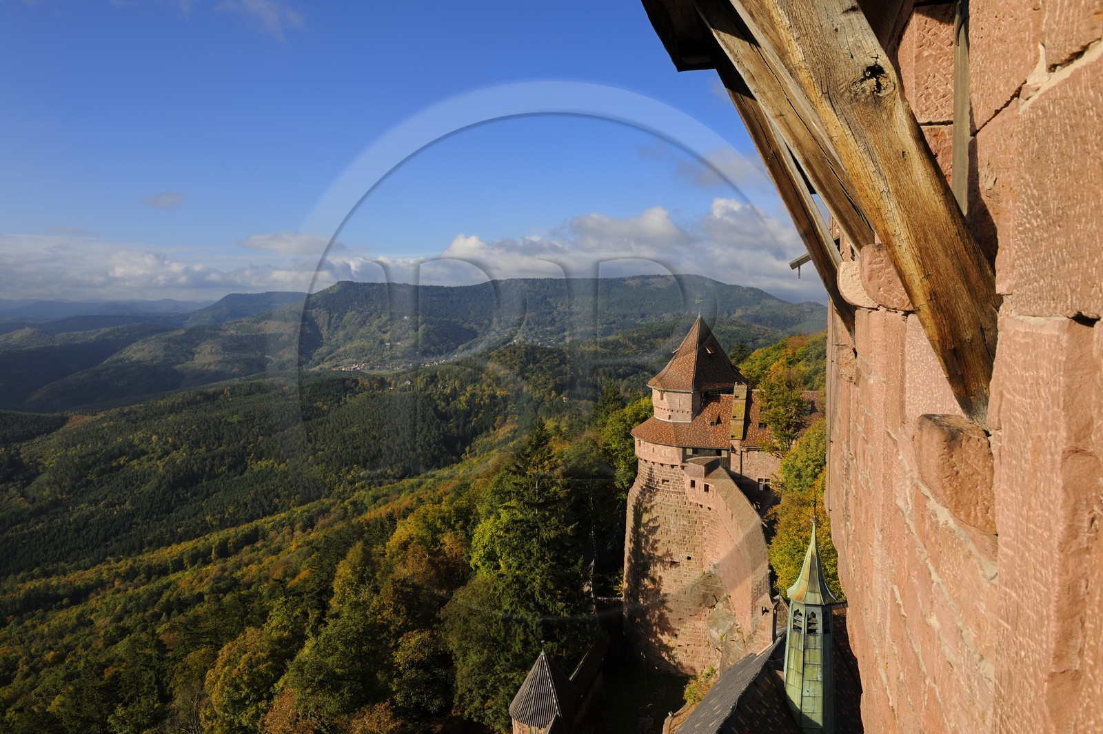France, Bas-Rhin (67), le château du Haut-Koenigsbourg, le Grand Bastion surplombant la forêt alentours