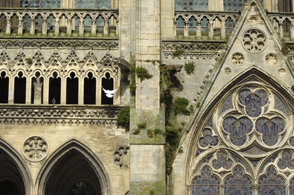 France, Calvados (14), Bayeux, la cathédrale Notre-Dame