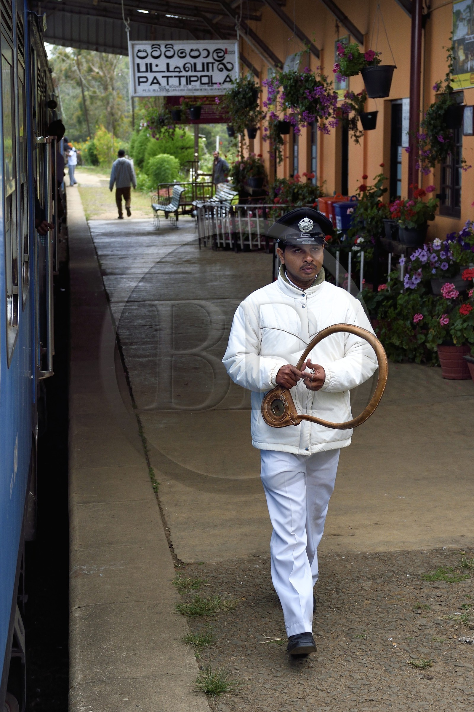 Sri Lanka, Province du Centre, trajet en train dans la région montagneuse de la culture du thé entre Hatton et Ella, chef de gare à Pattipola portant le relais pour le conducteur de train