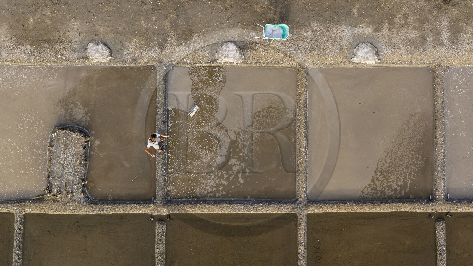 France, Charente Maritime, Oleron island, Saint Georges d'Oléron, artisanal picking of flower of salt by salt worker Samuel Barbereau (aerial view)