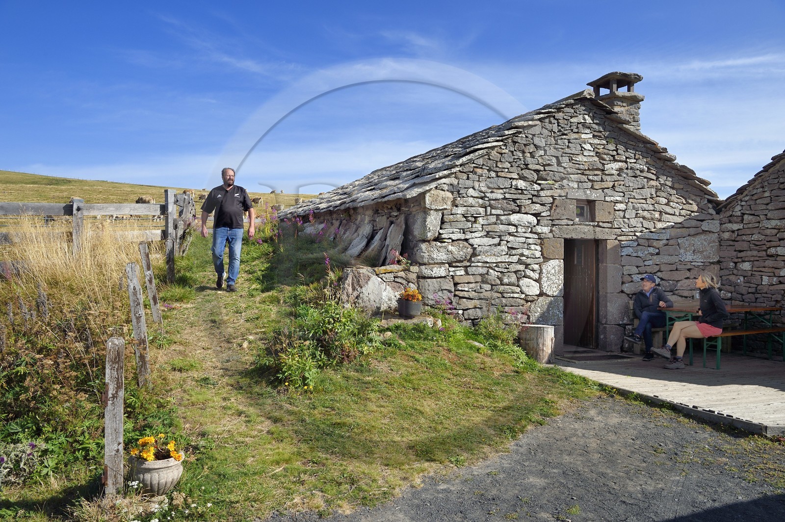France, Cantal (15), Parc Naturel Régional des Volcans d’Auvergne, vallée de Brezons, estives en altitude, Buron de la Combe de la Saure dirigé par Denis Deconquand, restaurant de montagne en pierre de Lauze dans une ancienne bergerie