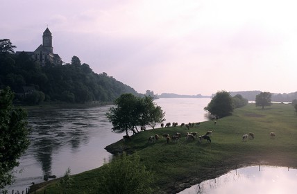 France, Maine-et-Loire (49), la Loire à Saint-Florent le Vieil