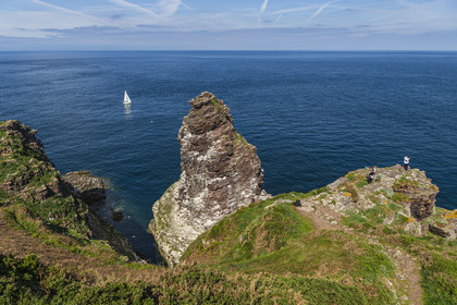 France, Ille et Vilaine, Cote d'Emeraude (Emerald Coast), Plevenon, the Cap Frehel, Fauconniere sandstone rock where thousands of birds live together