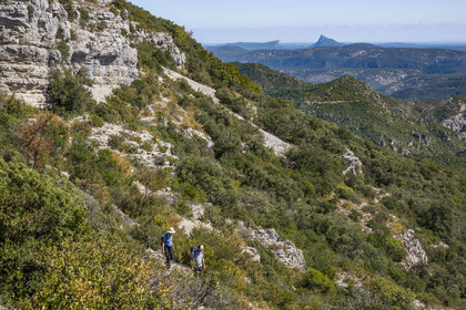 France, Hérault (34), les Causses et les Cévennes, paysage culturel de l'agro-pastoralisme méditerranéen inscrit au Patrimoine Mondial de l'UNESCO, Montpeyroux, randonneurs sur le sentier GR 74 du Mont Saint Baudille en direction de Saint-Guilhem-le-Désert, le Pic Saint-Loup faisant face à l'Hortus en arrière plan