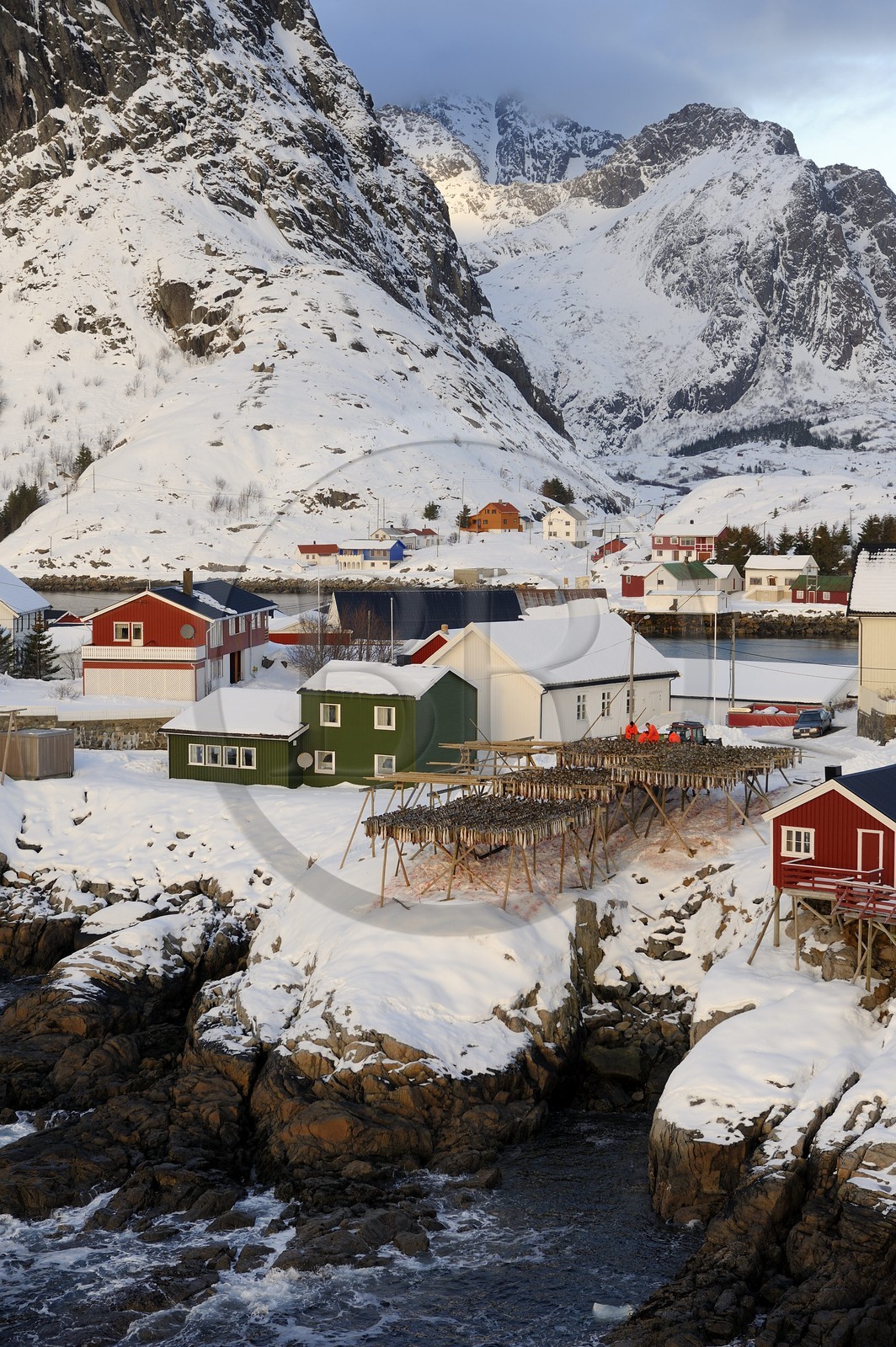 Norvège, Nordland, Iles Lofoten, Ile de Moskenes, le port de pêche de Hamnoy près de Reine, accrochage du cabillaud (morue) pour le séchage