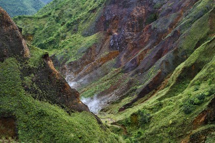 Caraïbes, Ile de la Dominique, Castle Bruce, Parc national du Morne Trois Pitons classé Patrimoine Mondial de l'UNESCO, la Vallée de la Désolation avec fumerolles et sources d'eau chaude, randonnée sur le sentier menant au Boiling Lake
