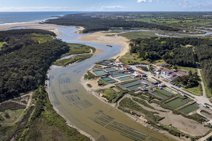 France, Vendée (85), Talmont-Saint-Hilaire, port du village d'ostréiculteurs de la Guittière dans l'estuaire du Payré, la plage du Veillon en arrière plan (vue aérienne)