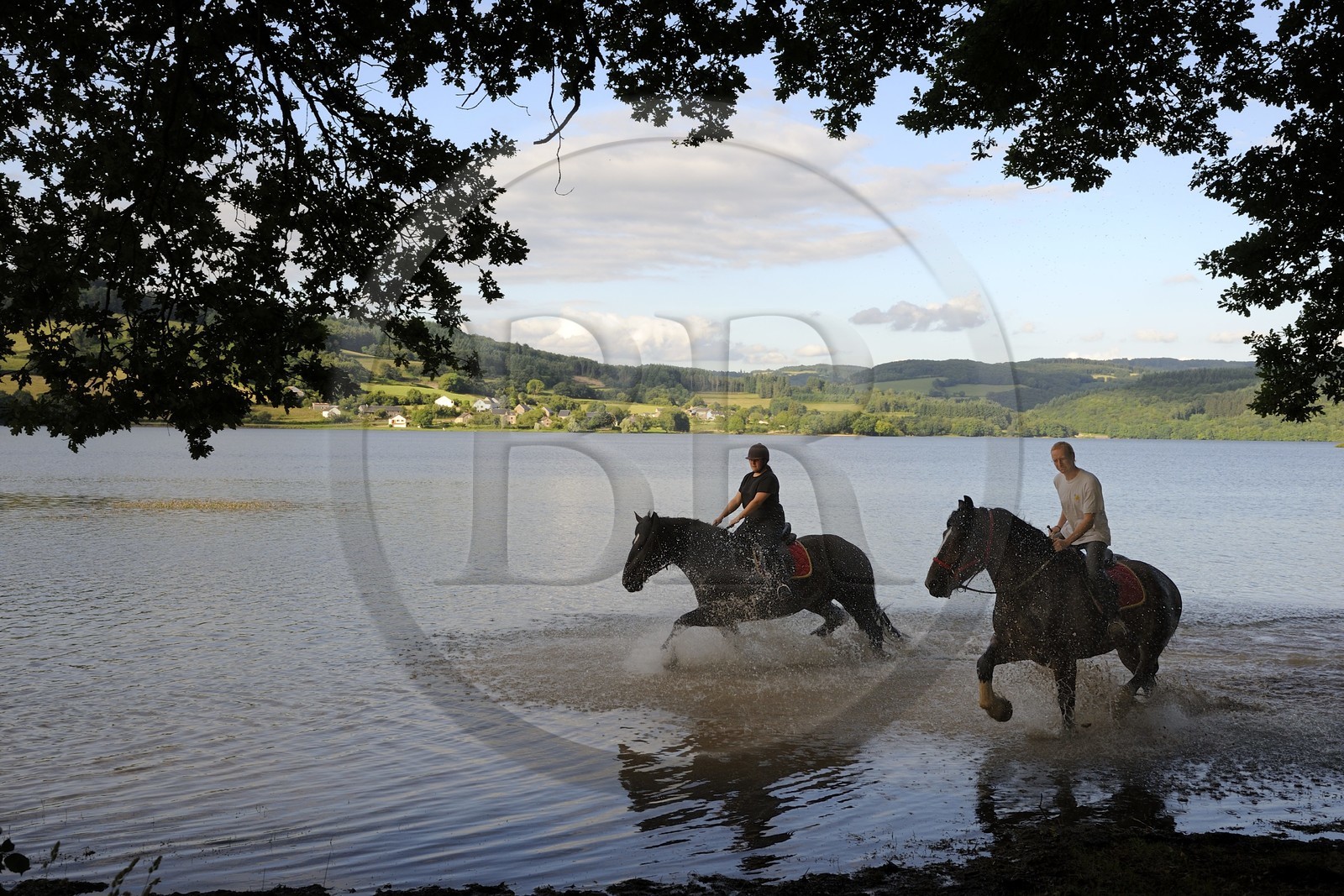 France, Nièvre (58), lac de Pannecière, découverte équestre du lac