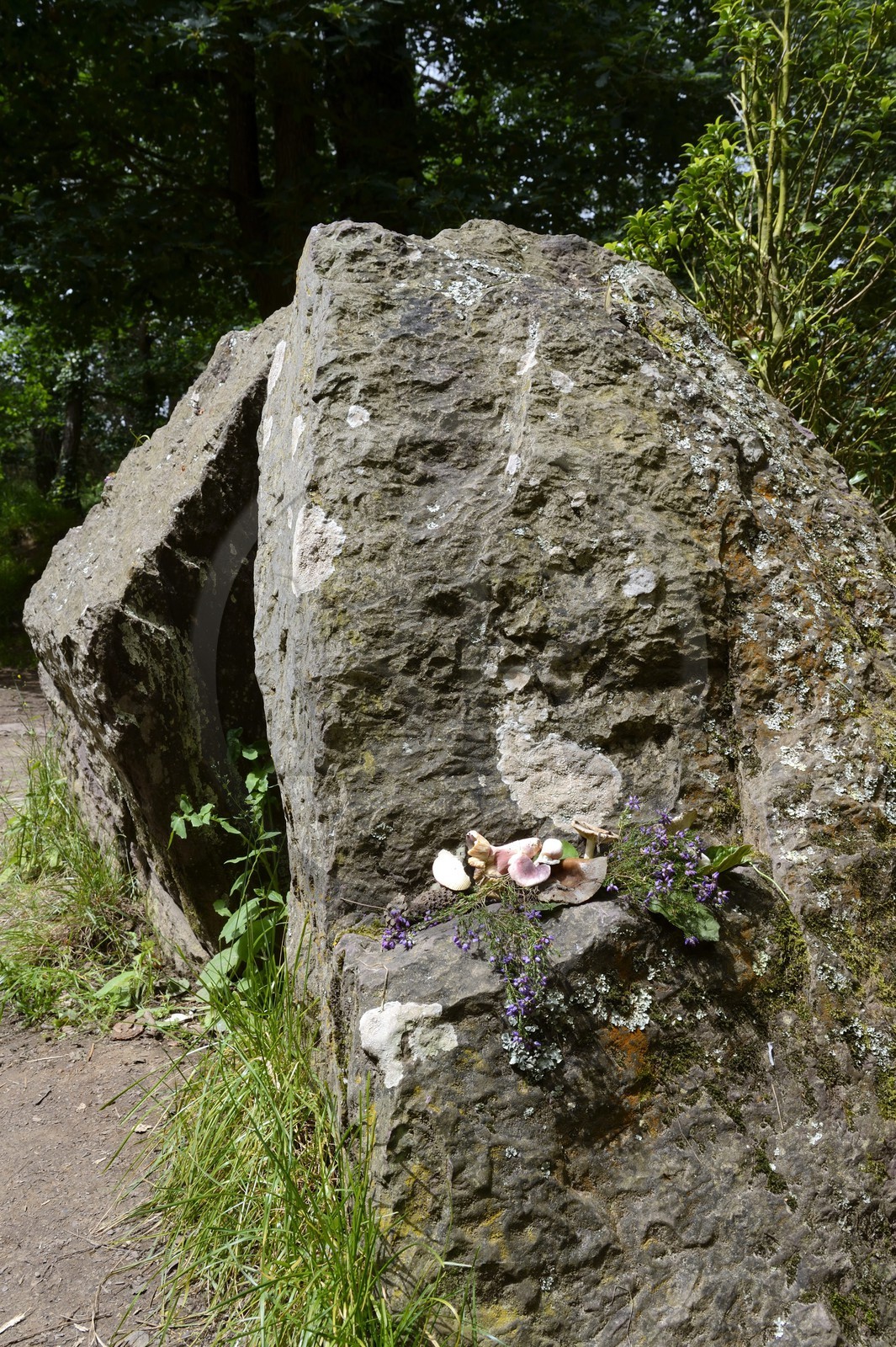 France, Ille-et-Vilaine, forest of Broceliande, Merlin the Wizard's tomb