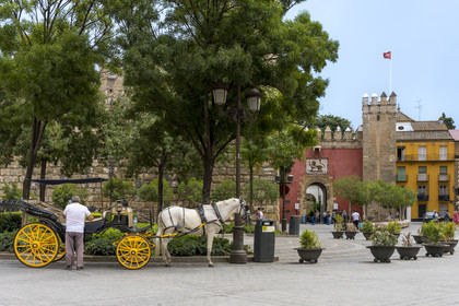 Espagne, Andalousie, Séville, Alcazar de Séville (Reales Alcazares de Sevilla), classé Patrimoine Mondial de l'UNESCO, la muraille extérieure, calèche devant la porte du Lion