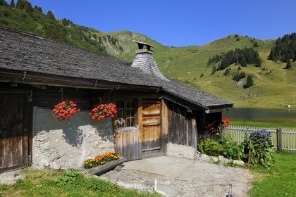Suisse, Canton de Vaud, Villars sur Ollon, hameau de Bretaye