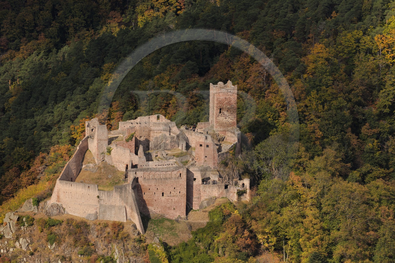 France, Haut-Rhin (68), Ribeauvillé, châteaux Saint-Ulrich (photo aérienne)