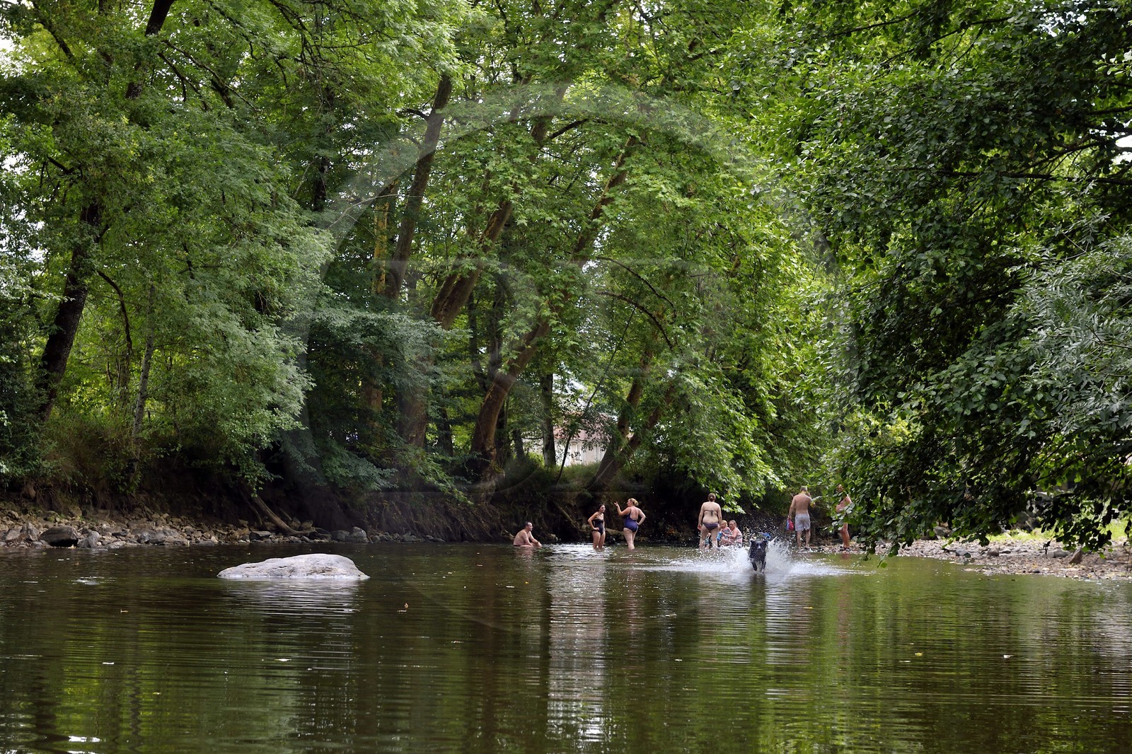 France, Dordogne, Périgord Noir, canoeing down the Auvezere river between Cherveix-Cubas and Tourtoirac