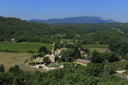 France, Var, Provence Verte (Green Provence), Bras village next to Saint Maximin, Le Peyrourier Bed & Breakfast une campagne en Provence