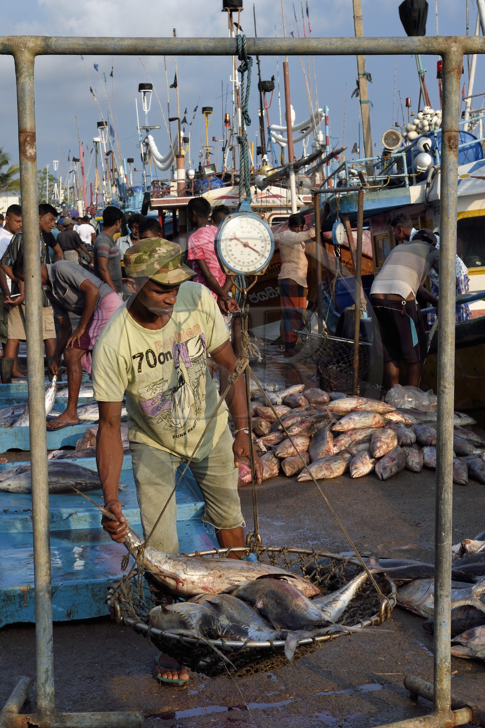 Sri Lanka, Province du Sud, Matara (district), Weligama, port de pêche de Mirissa, pesée et vente de poissons sur le quai au retour de la pêche