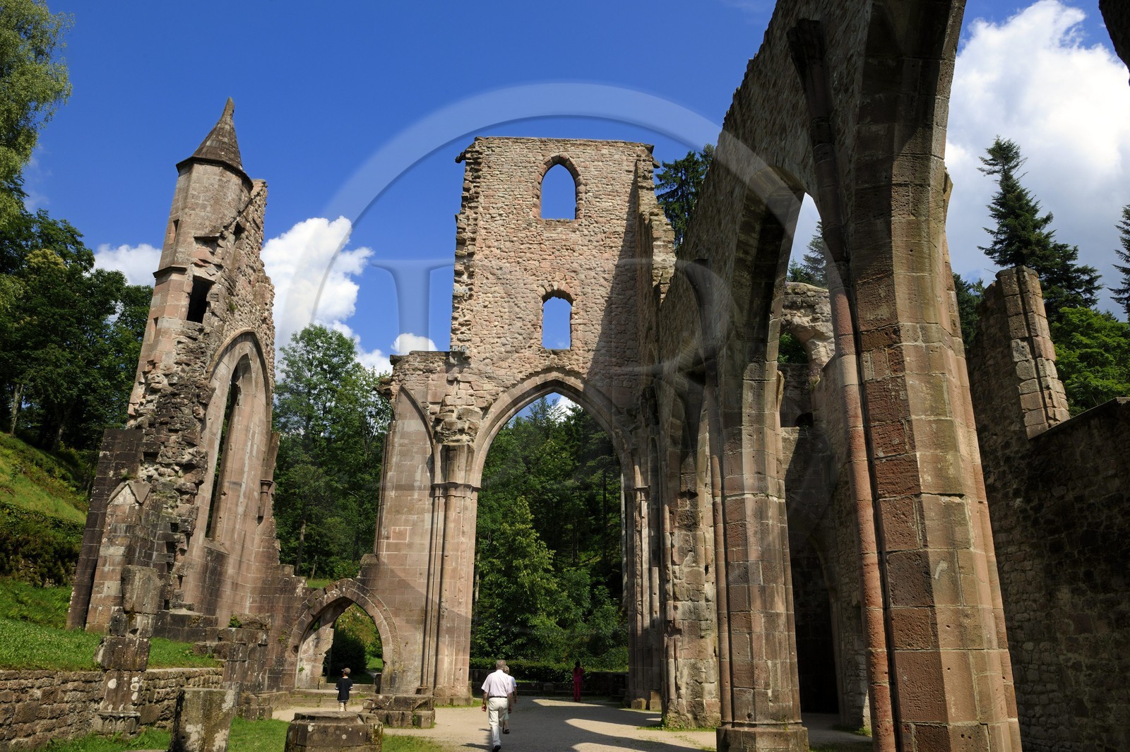 Germany, Black Forest, Schwarzwald, Baden-Württemberg, ruins of Allerheiligen convent (All Saints)