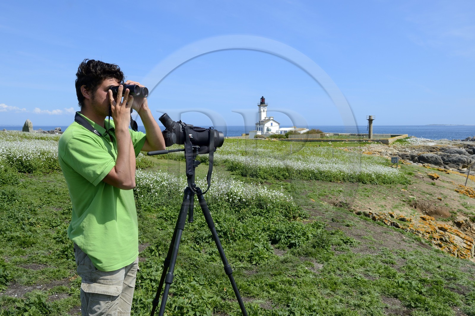 France, Finistere, La Foret Fouesnant, Glenan islands, Ile aux Moutons, Roman Bazire from the association Bretagne Vivante, guardian of the tern colony during the period of nesting