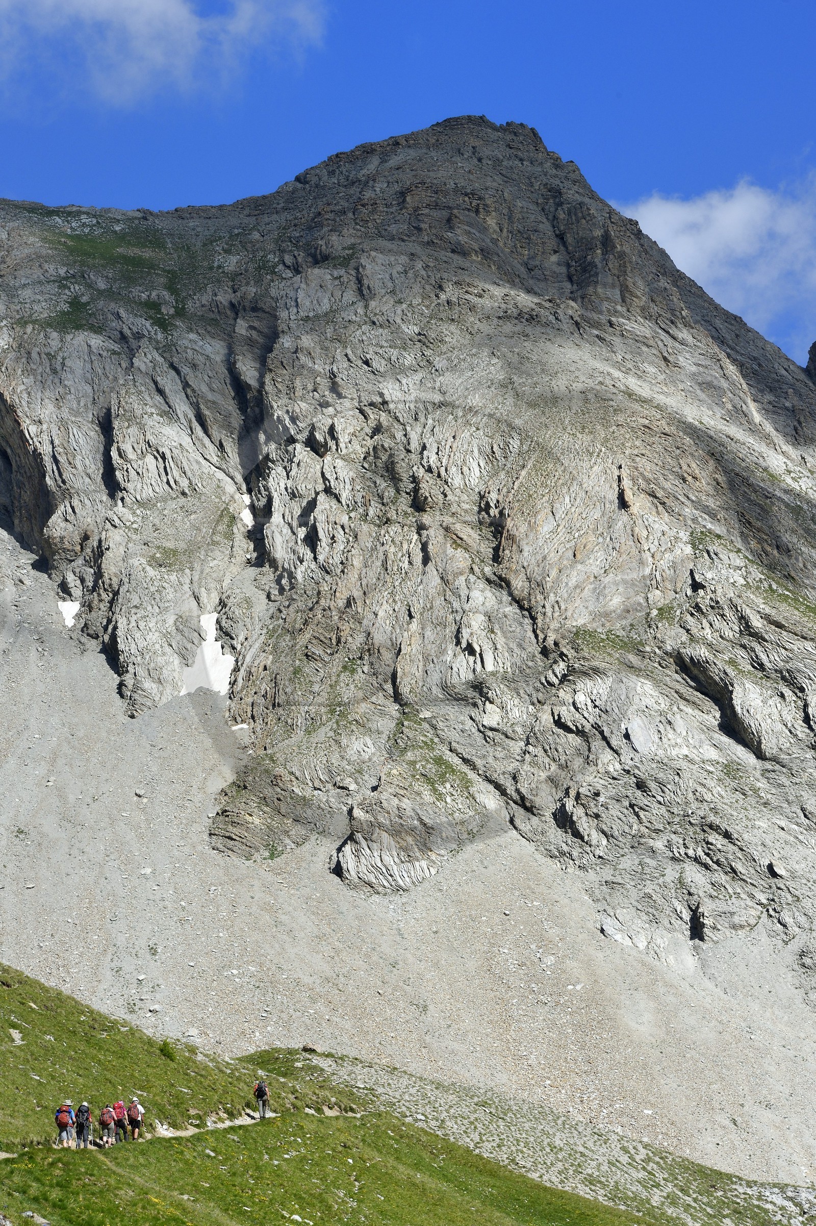 France, Alpes-de-Haute-Provence (04), Uvernet-Fours, parc national du Mercantour, vallée de l'Ubaye, col de la Cayolle (2326 m), sentier de randonnée qui grimpe à travers la pelouse alpine sur le circuit des lacs sous le sommet de la montagne du Trou de l’Aigle