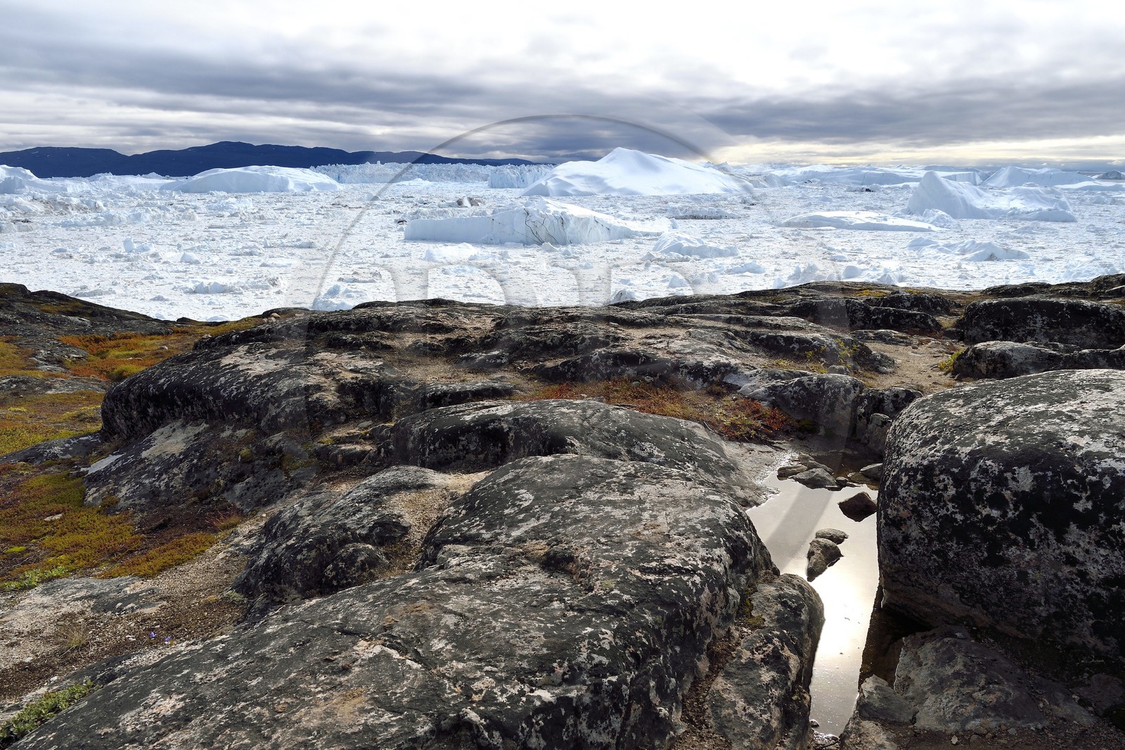 Groenland, cote ouest, baie de Disko, Ilulissat, fjord glacé classé Patrimoine Mondial de l'UNESCO qui est l’embouchure maritime du glacier Sermeq Kujalleq (Jakobshavn Glacier)