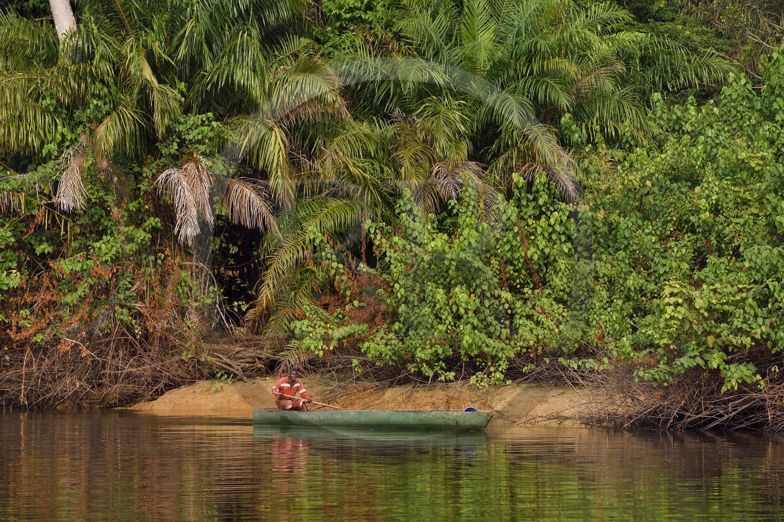 Gabon, province de Ogooué- Maritime, une des nombreuses rivières de la lagune du Fernan Vaz (Nkomi)