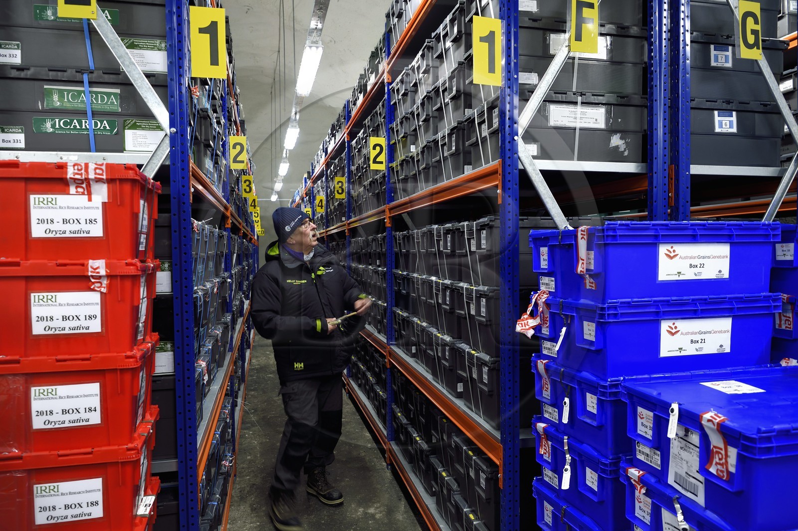 Norway, Svalbard, Spitzbergen, Longyearbyen, Svalbard Global Seed Vault (Seed Bank), seed storage room artificially maintained at -18°C, there are nearly 900000 samples deposited, from 200 countries of origin and 73 depositor institutes
