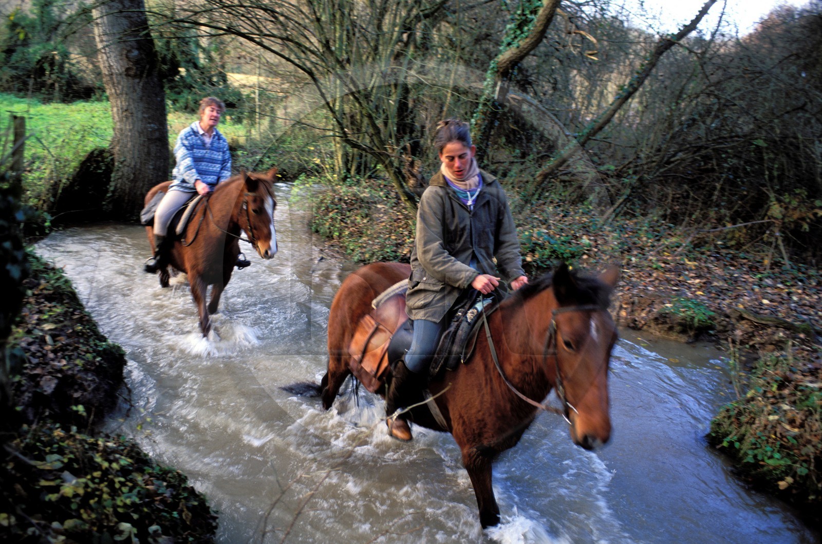 France, Eure (27), région de Brionne, promenade équestre dans la vallée de la rivière Risle