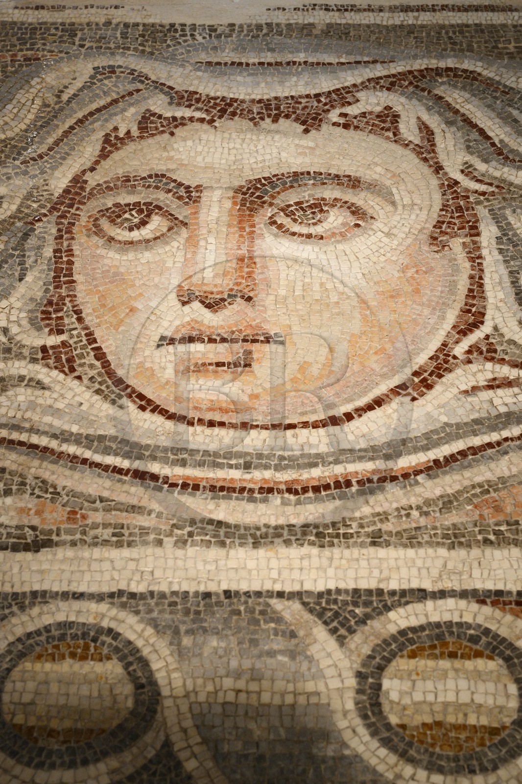 Israel, Jérusalem, quartier de Guivat Ram, musée d'Israel, departement d'archéologie, détail d'une mosaique triclinium d'une villa romaine de Naplouse du IIIème siècle