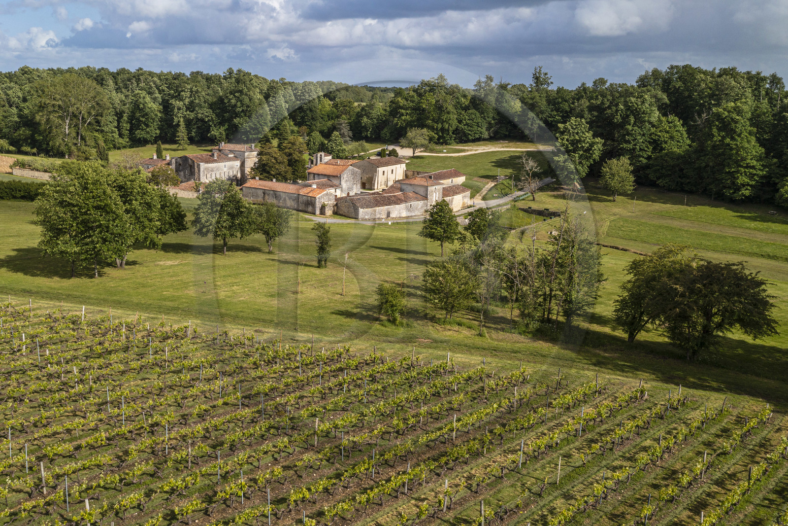 France, Charente-Maritime, Saint-Bris-des-Bois, Fontdouce abbey, former Benedictine abbey founded in 1111 on the edge of the vineyard (aerial view)