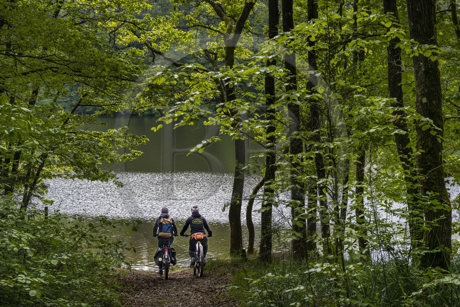 France, Vendee, Mervent, cyclists in the Mervent forest where the waters of the Mother and Vendée rivers meet