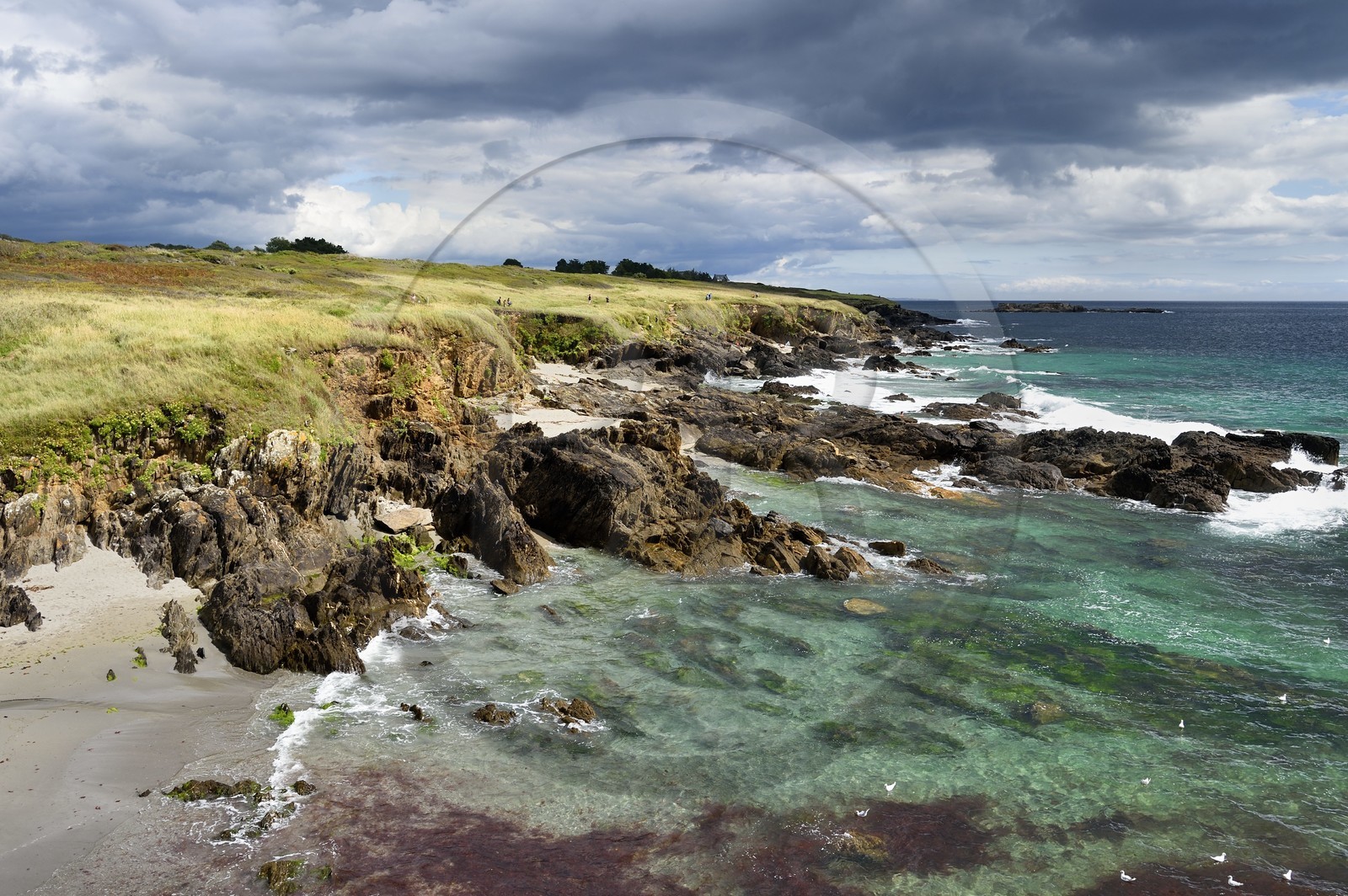 France, Finistere (29), Moelan sur Mer, the coast between Kerfany les Pins and the beach of Trenez along the GR 34 hiking trail or sentier des douaniers (customs trail)