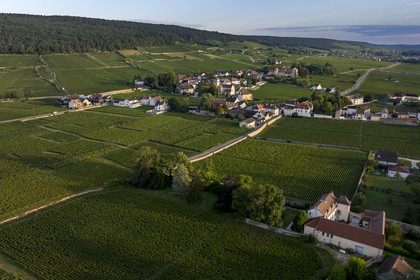 France, Cote d'Or, cultural Landscape of the climates of Burgundy listed as World Heritage by UNESCO, Route des Grands Crus (road of Vintage Wines), vineyard of the Côte de Nuits at Gevrey Chambertin (aerial view)