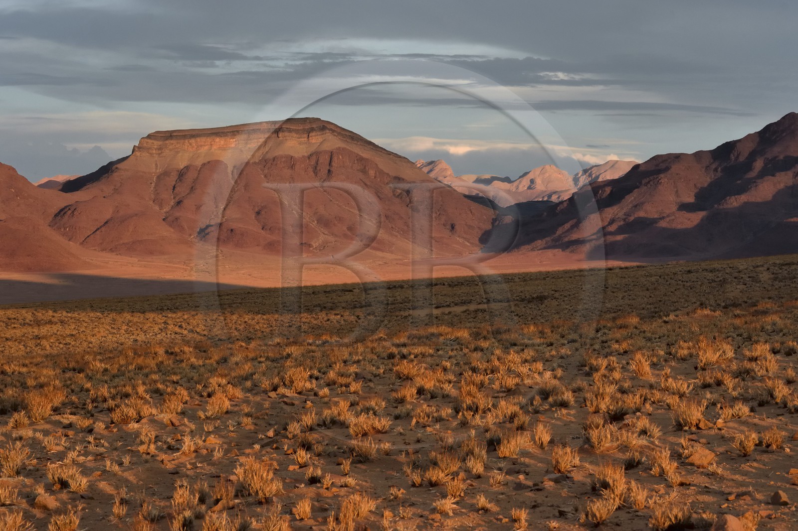 Namibie, région de Hardap, désert du Namib à l'Est du parc national Namib Naukluft vers Sossusvlei, plaine du désert recouverte d'herbe au coucher de soleil et la chaine de montagnes de Zaris