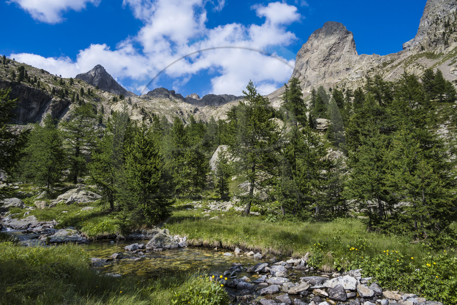 France, Alpes-Maritimes (06), parc national du Mercantour, Haute-Vésubie, Saint-Martin-Vésubie, Val du Haut Boréon, rivière en bordure du GR 52 au lac des Sagnes vers le refuge de Cougourde, le sommet frontalier du Caïres de Cougourde (2892m) en arrière plan à droite