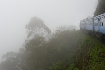 Sri Lanka, Uva Province, the popular scenic train ride through the tea growing hill country between Hatton and Badulla, next to the Horton Plains National Park cloud forest