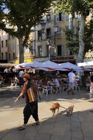 France, Bouches-du-Rhône (13), Aix-en-Provence, promenade des chiens sur la place de l'Hôtel de ville