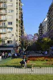 Argentina, Buenos Aires, La Recoleta district, a woman and her dog