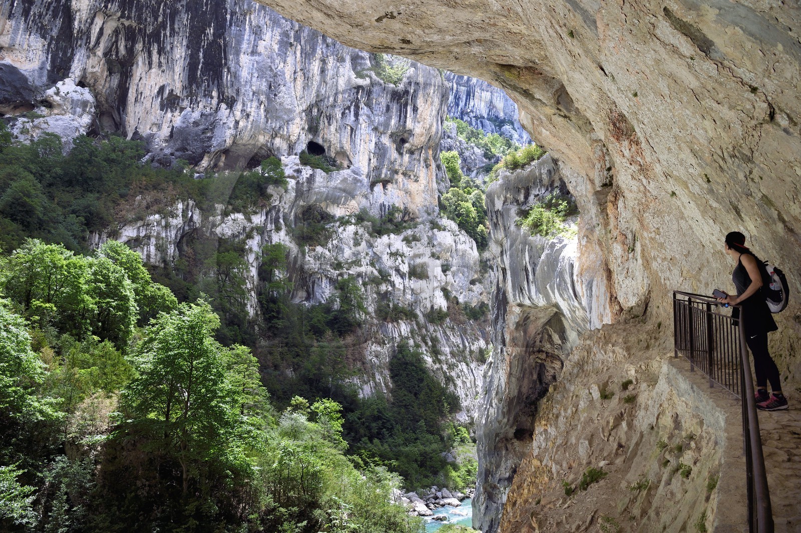 France, Alpes-de-Haute-Provence (04), Parc Naturel Régional du Verdon, Rougon, Grand Canyon du Verdon, la rivière du Verdon dans le couloir Samson, vu depuis le sentier Blanc-Martel sur le GR4