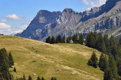 Suisse, canton de Vaud, Villars-sur-Ollon, randonnée du col de Bretaye au col de la Croix en passant par le hameau d'Ensex