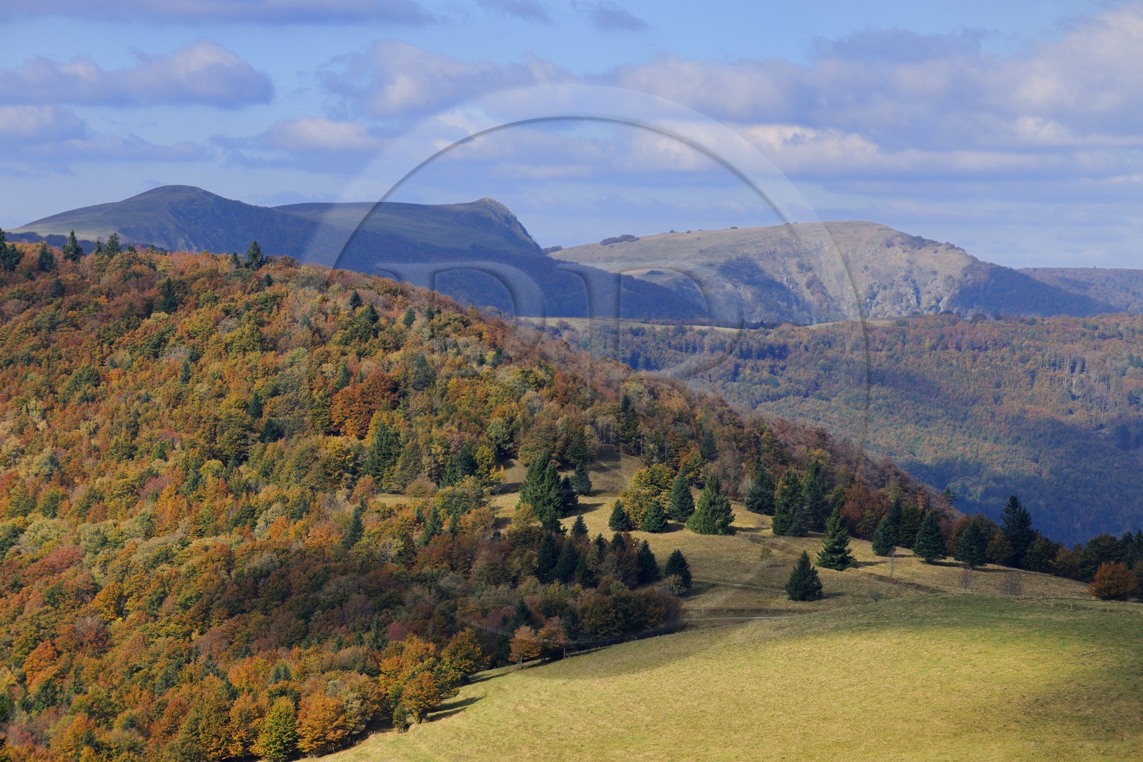 France, Haut-Rhin (68), la route des Crêtes, vue vers le Hohneck à la hauteur du col d'Hahnenbrunnen