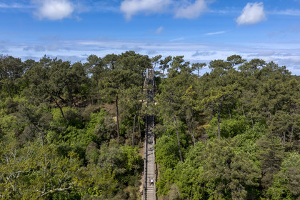 France, Vendée (85), La Barre-de-Monts, belvédère du Pey de la Blet, l'escalier dans le ciel au coeur de la forêt (vue aérienne)