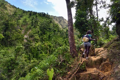 Caraïbes, Ile de la Dominique, Castle Bruce, Parc national du Morne Trois Pitons classé Patrimoine Mondial de l'UNESCO, randonneur sur le sentier traversant la forêt tropicale et menant à la la Vallée de la Désolation puis au Boiling Lake