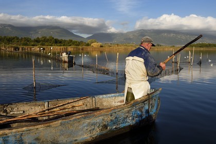France, Haute-Corse (2B), l'étang de Biguglia (stagnu di Chjurlinu), réserve naturelle de Corse (RNC), pecheurs relevant les filets tendus sur des pieux d'aulne