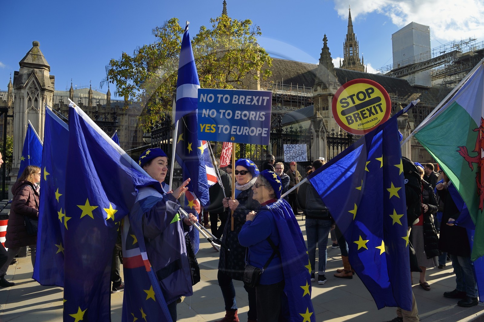 Royaume-Uni, Londres, Cité de Westminster, manifestation contre le Brexit devant le Parlement du Royaume-Uni, drapeau européen
