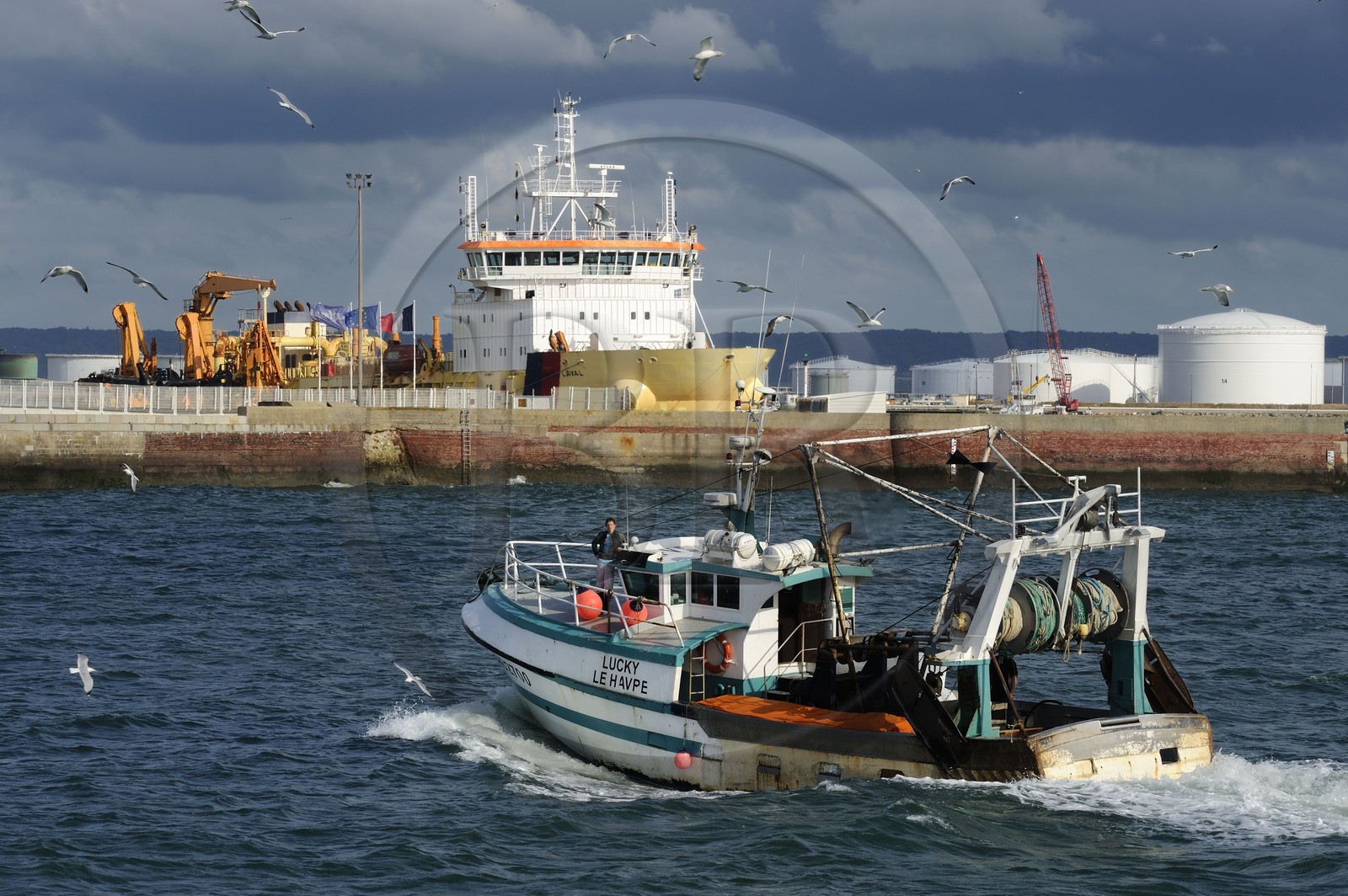 France, Seine-Maritime (76), Le Havre, bateau de pêche entrant au port suivi par une nuée de goélands