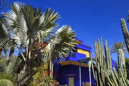 Maroc, Haut-Atlas, Marrakech, ville impériale, quartier de Gueliz, jardin Majorelle fondé en 1931 par le peintre français Jacques Majorelle puis racheté en 1980 par Yves Saint Laurent et Pierre Bergé