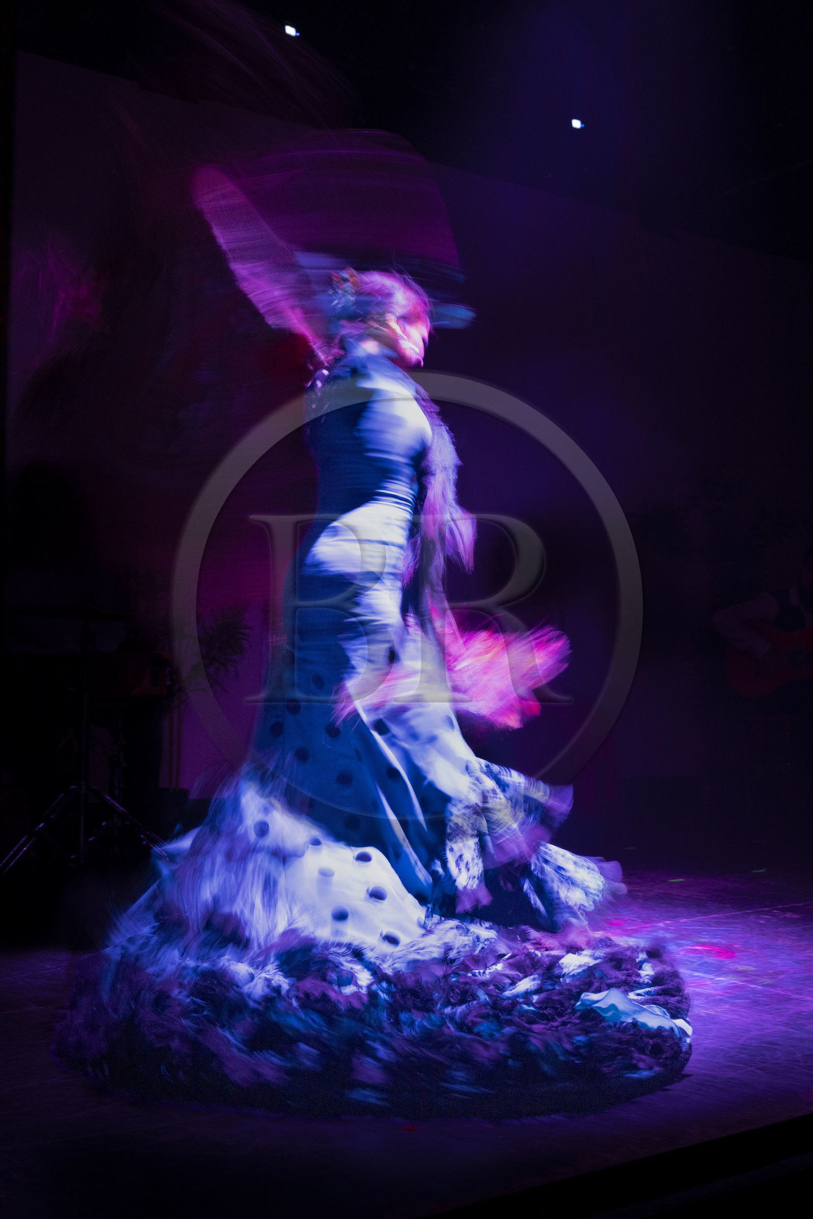 Espagne, Catalogne, Barcelone, City Hall Barcelona, spectacle de danse Flamenco